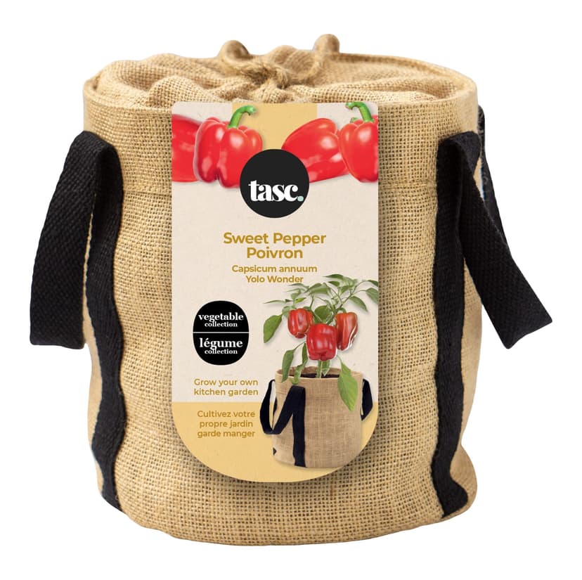 Seeds Are Easy Vegetable Kit, Sweet Pepper