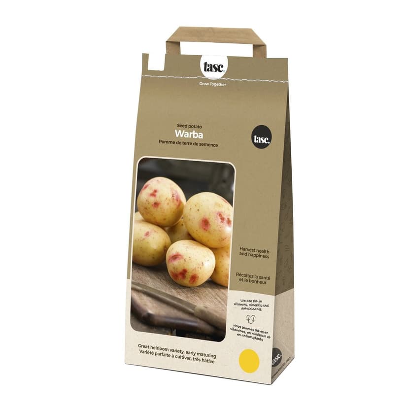 Bulbs Are Easy, Warba Potato Bulbs, Ready to Plant for your Home Garden