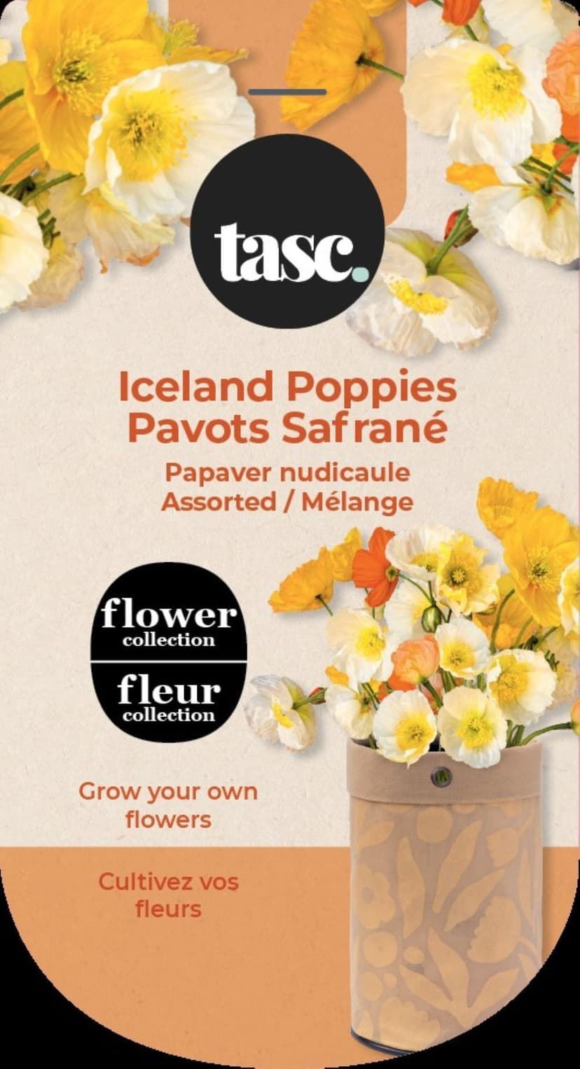 Seeds Are Easy, Flower Kit, Iceland Poppy, Comes with Jute Planter, Potting Soil, Seeds