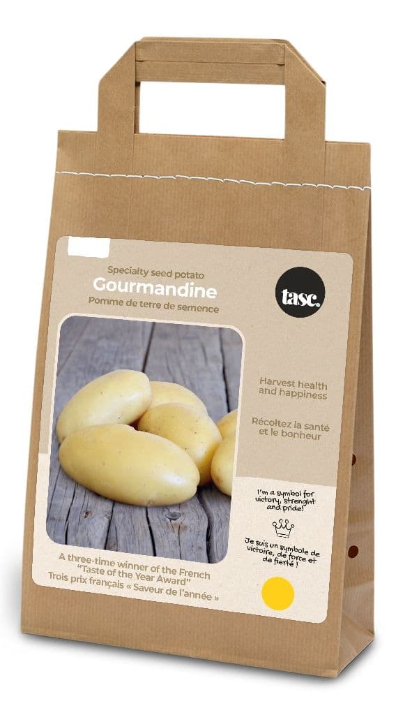 Bulbs Are Easy, Specialty Gourmandine Seed Potato, Ready to Plant for your Home Garden