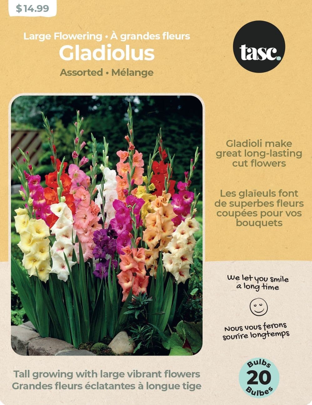 Bulbs Are Easy, Large Flowering Gladiolus Bulbs, Home Garden