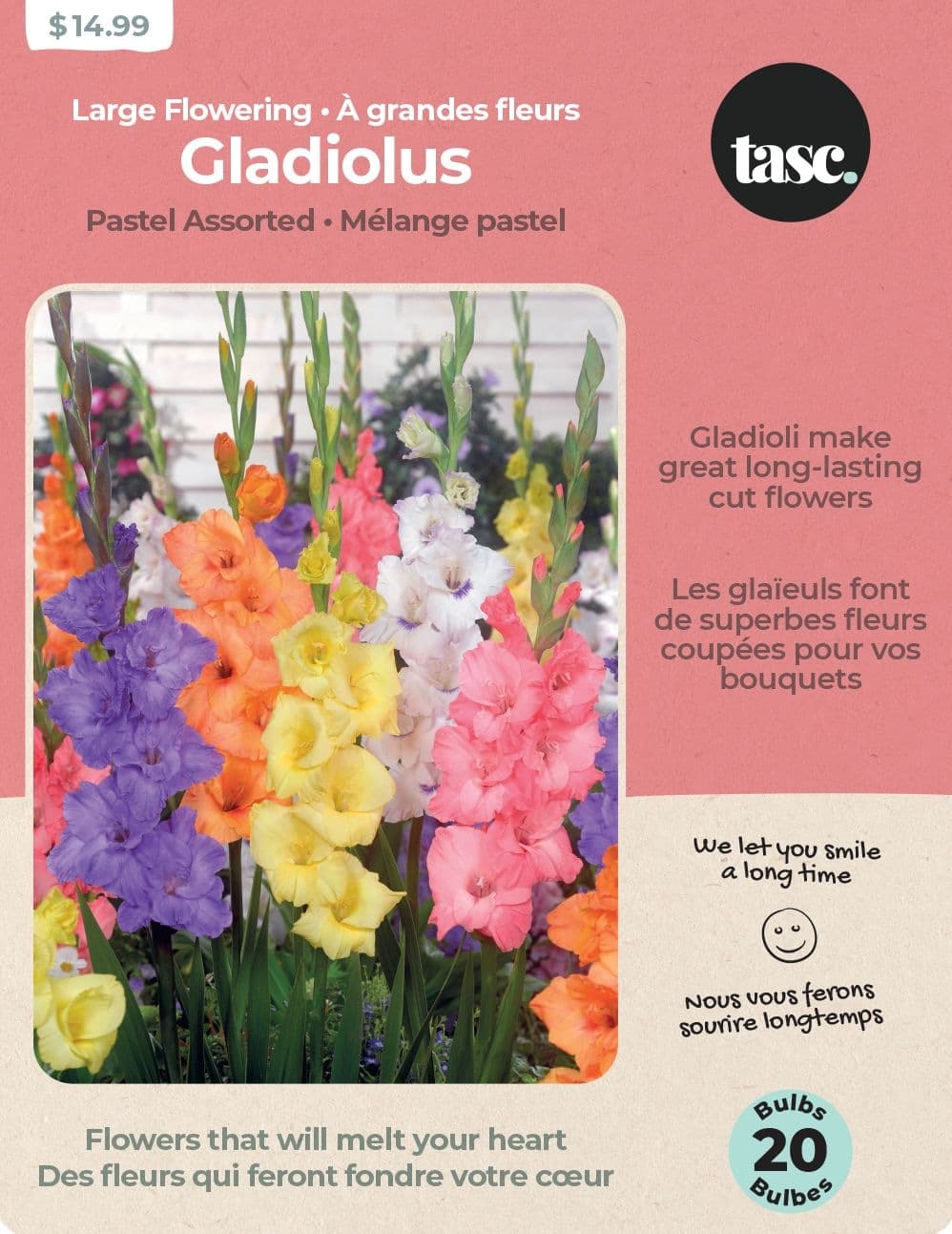 Bulbs Are Easy, Large Flowering Pastel Gladiolus Bulbs Assorted Varieties, Home Garden