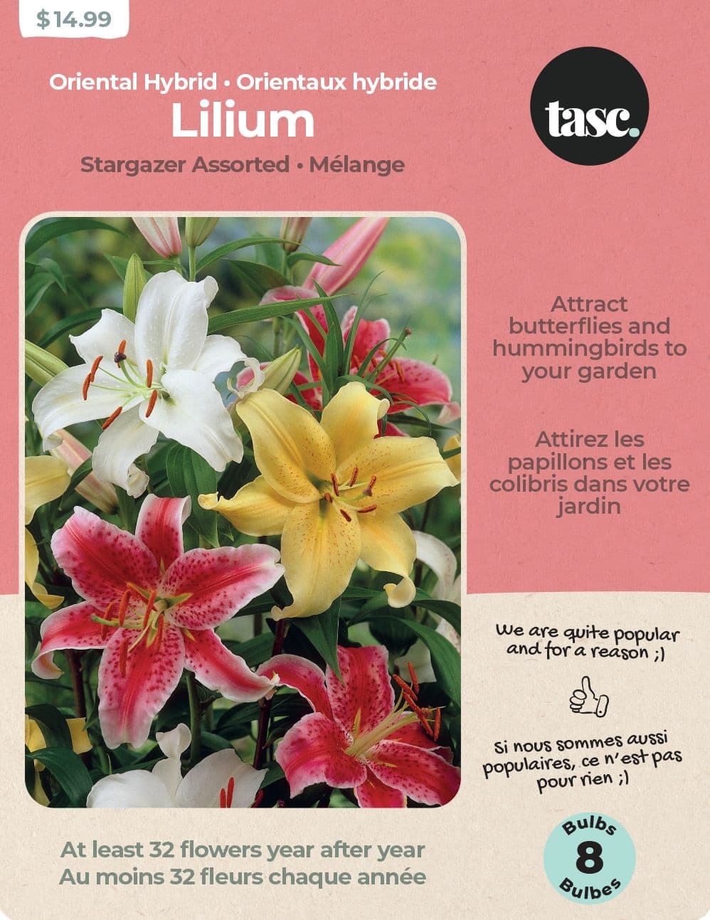 Bulbs Are Easy, Oriental Hybrid Stargazer Lilium Bulbs, Home Garden