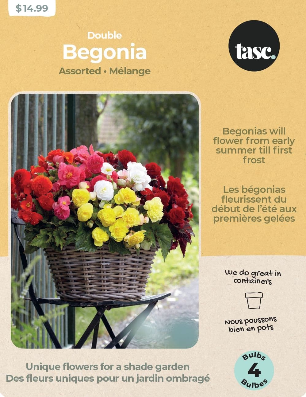 Bulbs Are Easy, Double Begonia Bulbs, Assorted Varieties, Home Garden