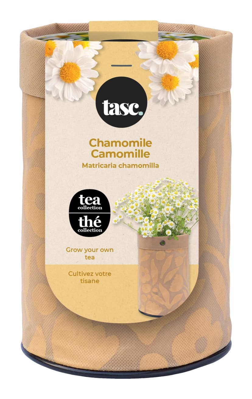 Seeds Are Easy, Tea Kit, Chamomile, Comes with Jute Planter, Potting Soil, Seeds
