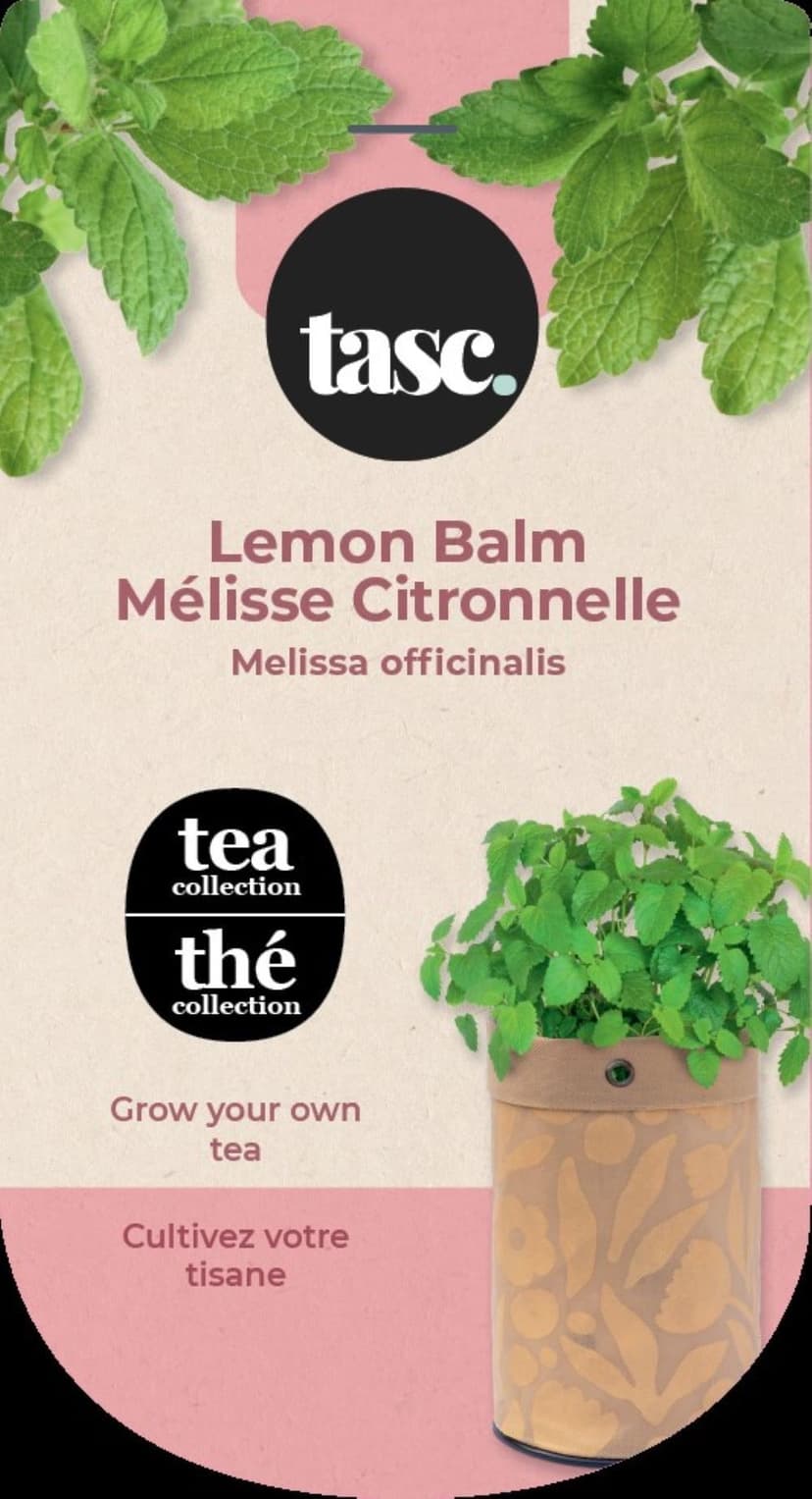 Seeds Are Easy, Tea Kit, Lemon Balm, Comes with Jute Planter, Potting Soil, Seeds