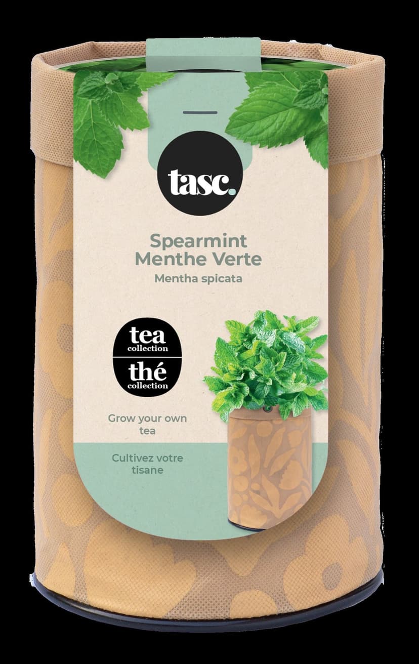 Seeds Are Easy, Tea Kit, Spearmint, Ready to Plant for your Home Garden