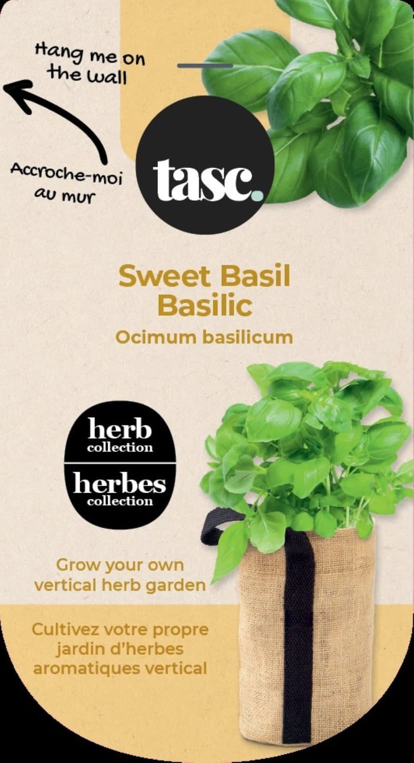 Seeds Are Easy, Herb Kit, Sweet Basil, Ready to Plant for your Home Garden