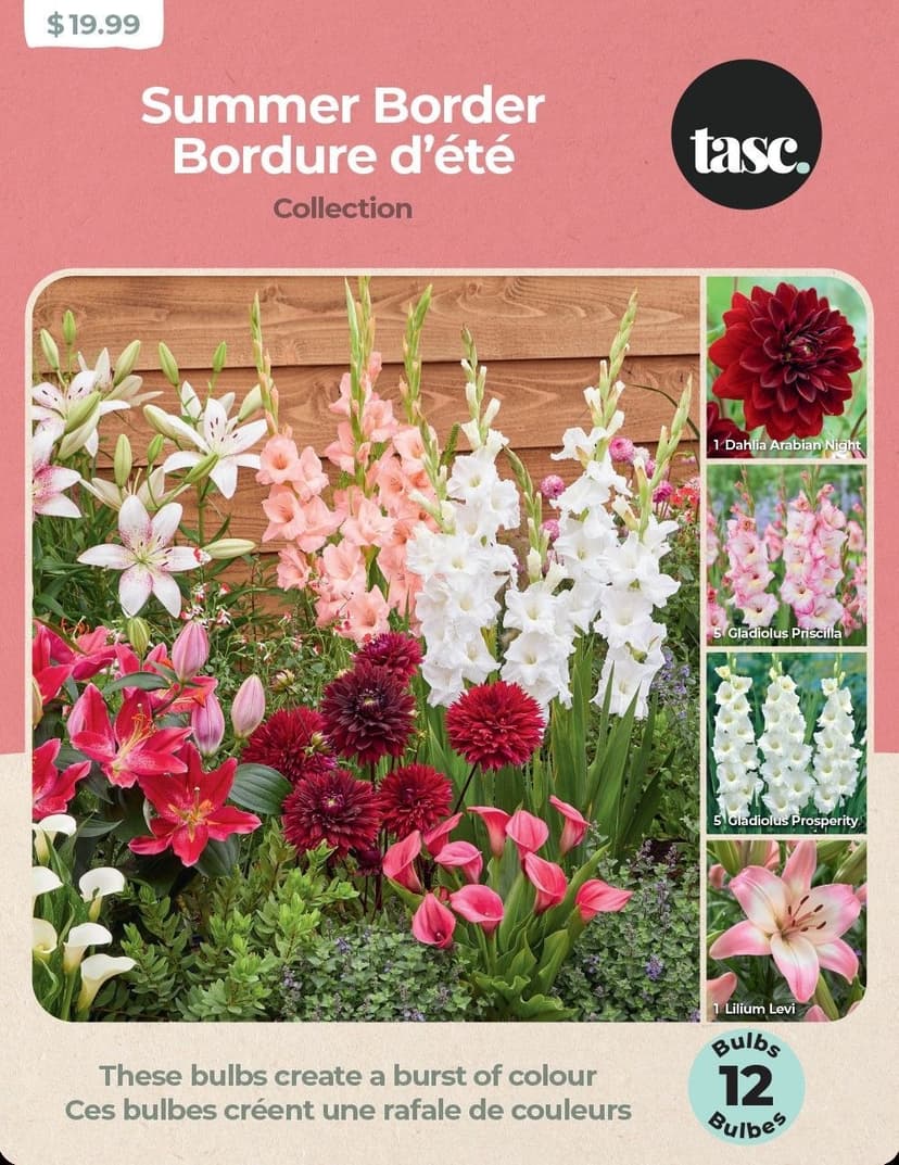 TASC Summer Border Collection, Assorted Bulbs