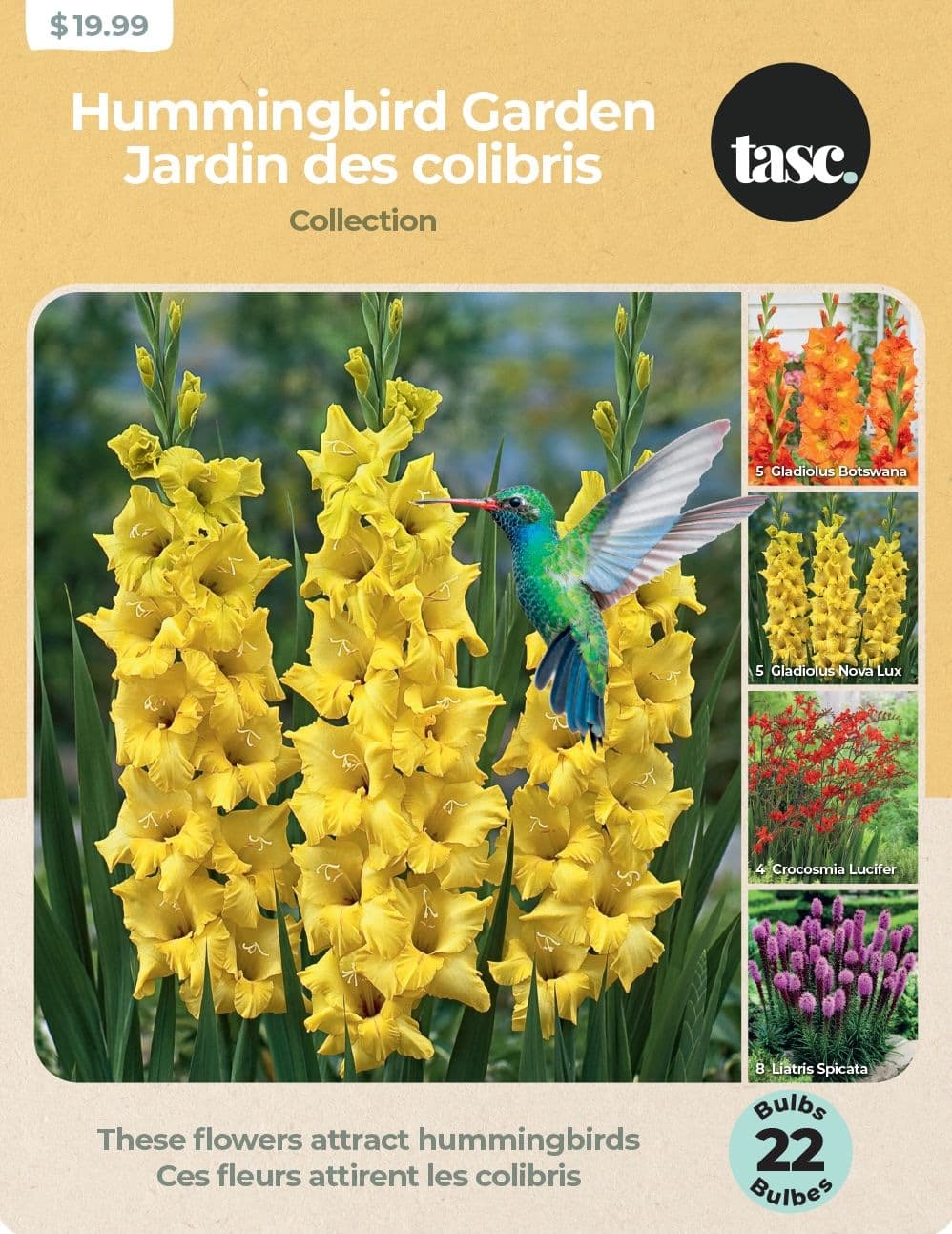 TASC Hummingbird Garden Flower Bulbs