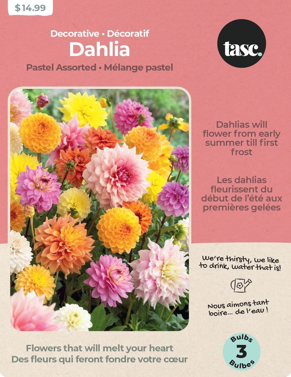 Bulbs Are Easy Dahlia Pastel Bulbs, Assorted Varieties