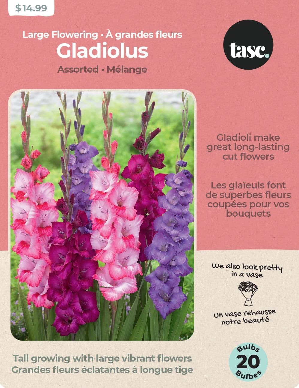 Bulbs Are Easy Gladiolus Home Garden Flowering Bulbs, Assorted Varieties