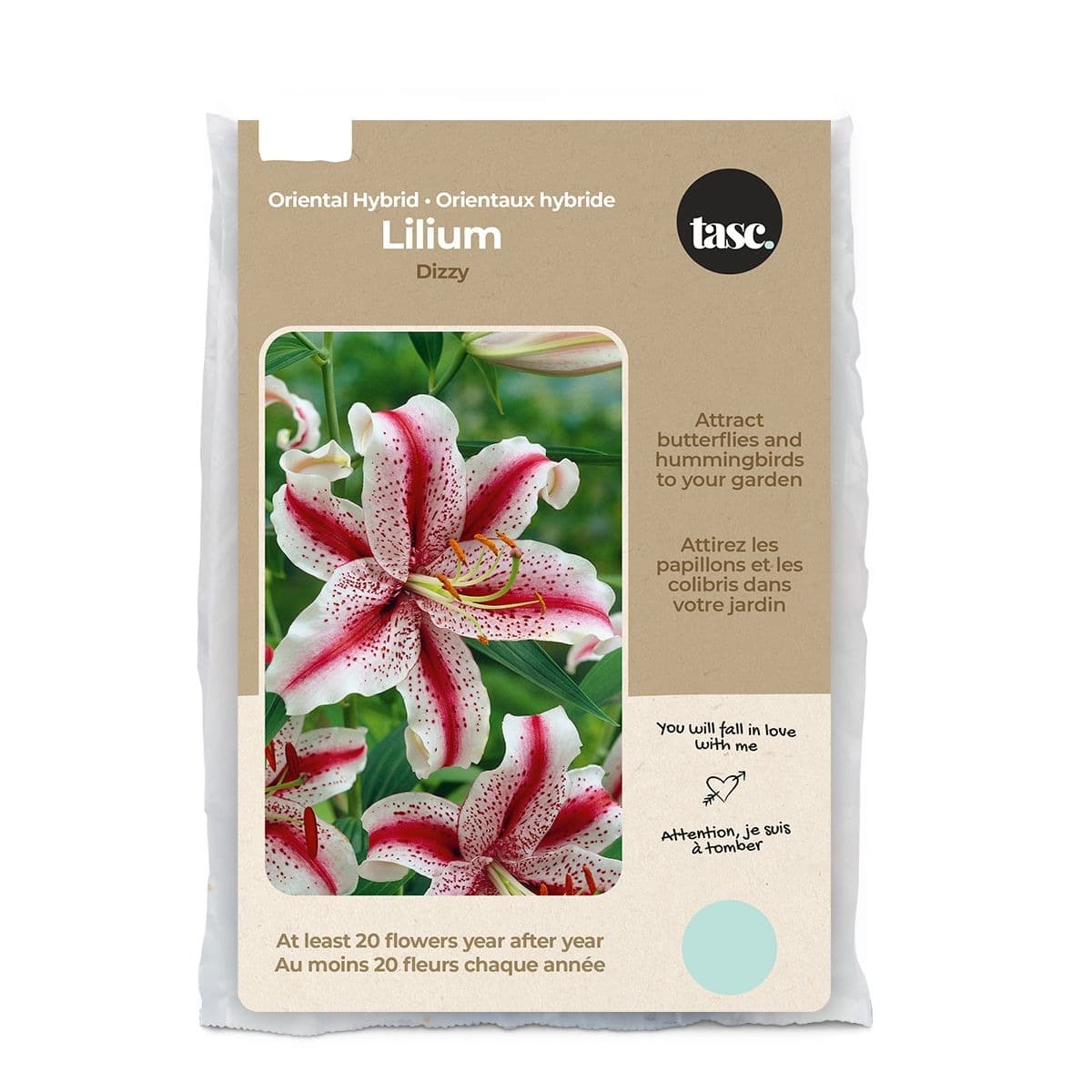 Bulbs Are Easy Perennial Lily Dizzy Flower Bulbs