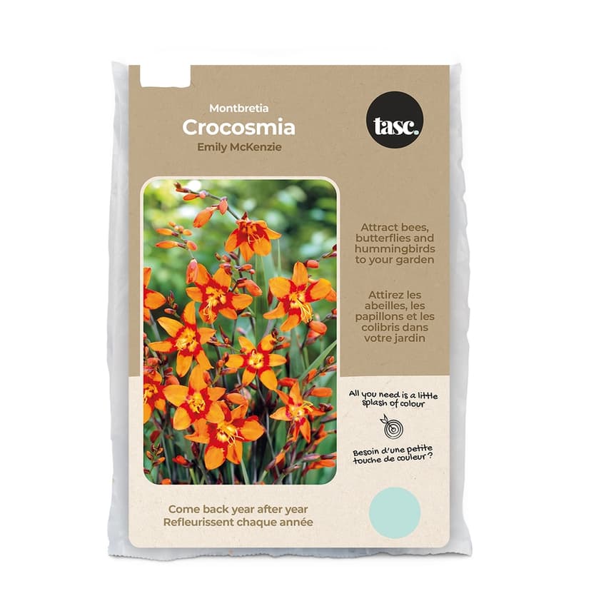 Bulbs Are Easy Crocosmia Emily McKenzie Ready-to-Plant Garden Flower Bulbs
