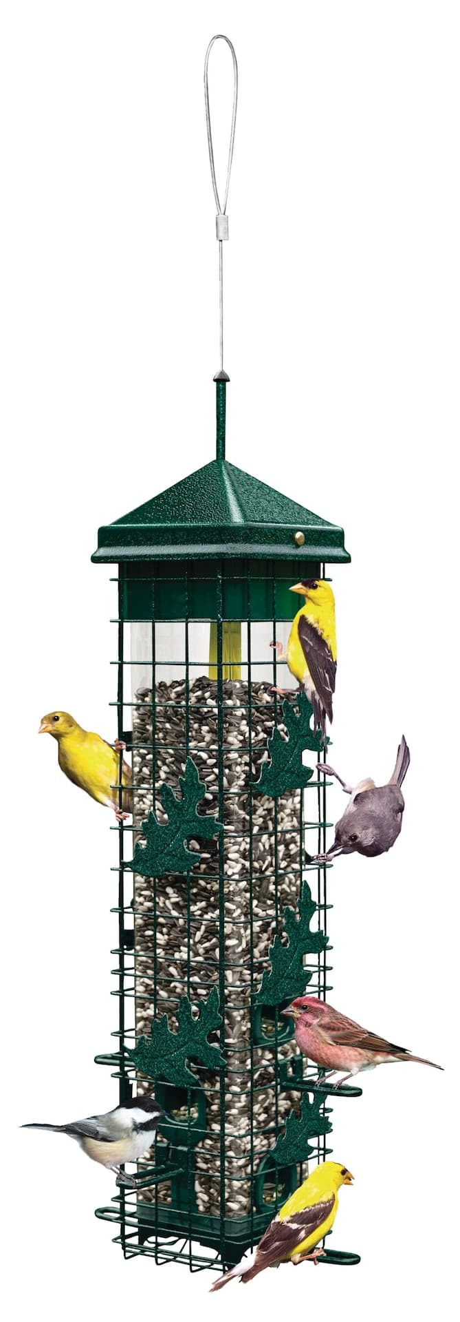 Brome Squirrel Solution 200 Outdoor Hanging Easy Bird Feeder, 3.4-lb