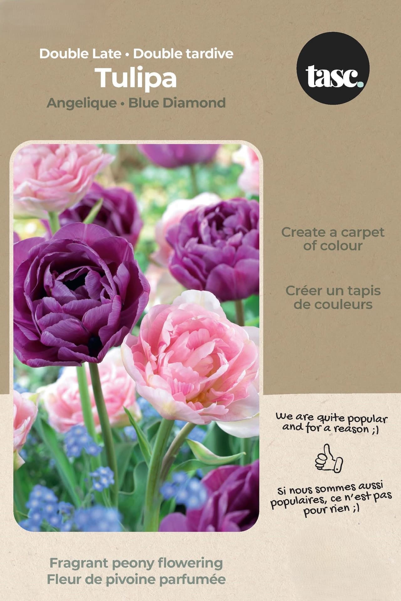 Bulbs are Easy Tulip Double Late Angelique and Blue Diamond