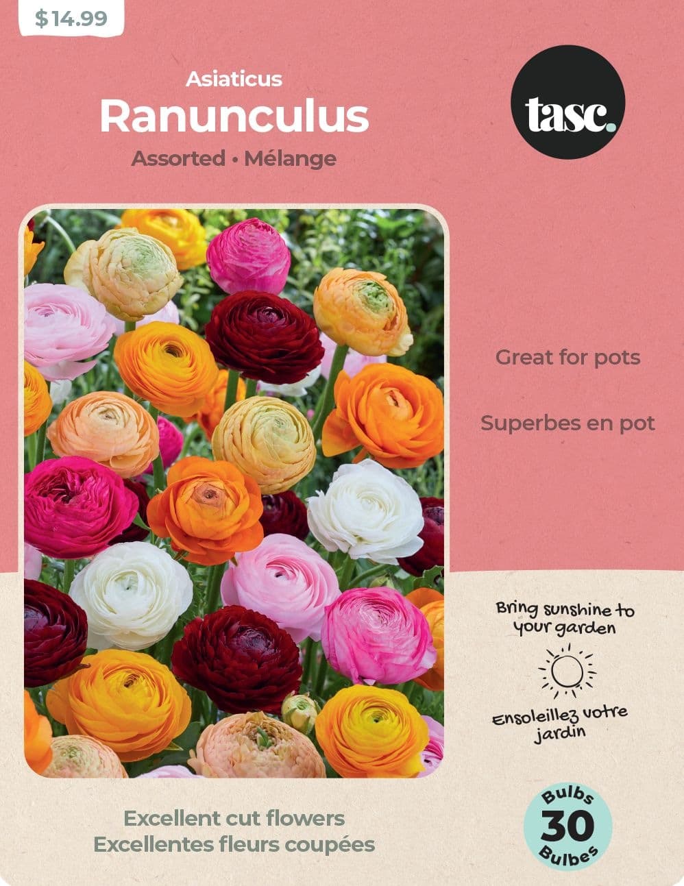 Bulbs Are Easy Ranunculus Asiaticus Assorted Bulbs Spring/Summer Plants