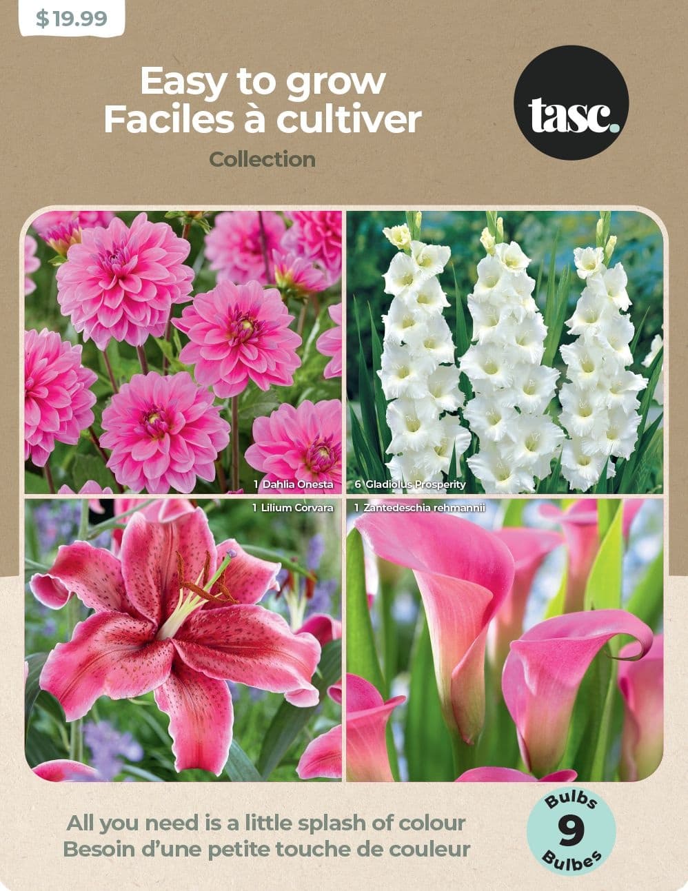 Bulbs are Easy, Easy to Grow Collection, Assorted