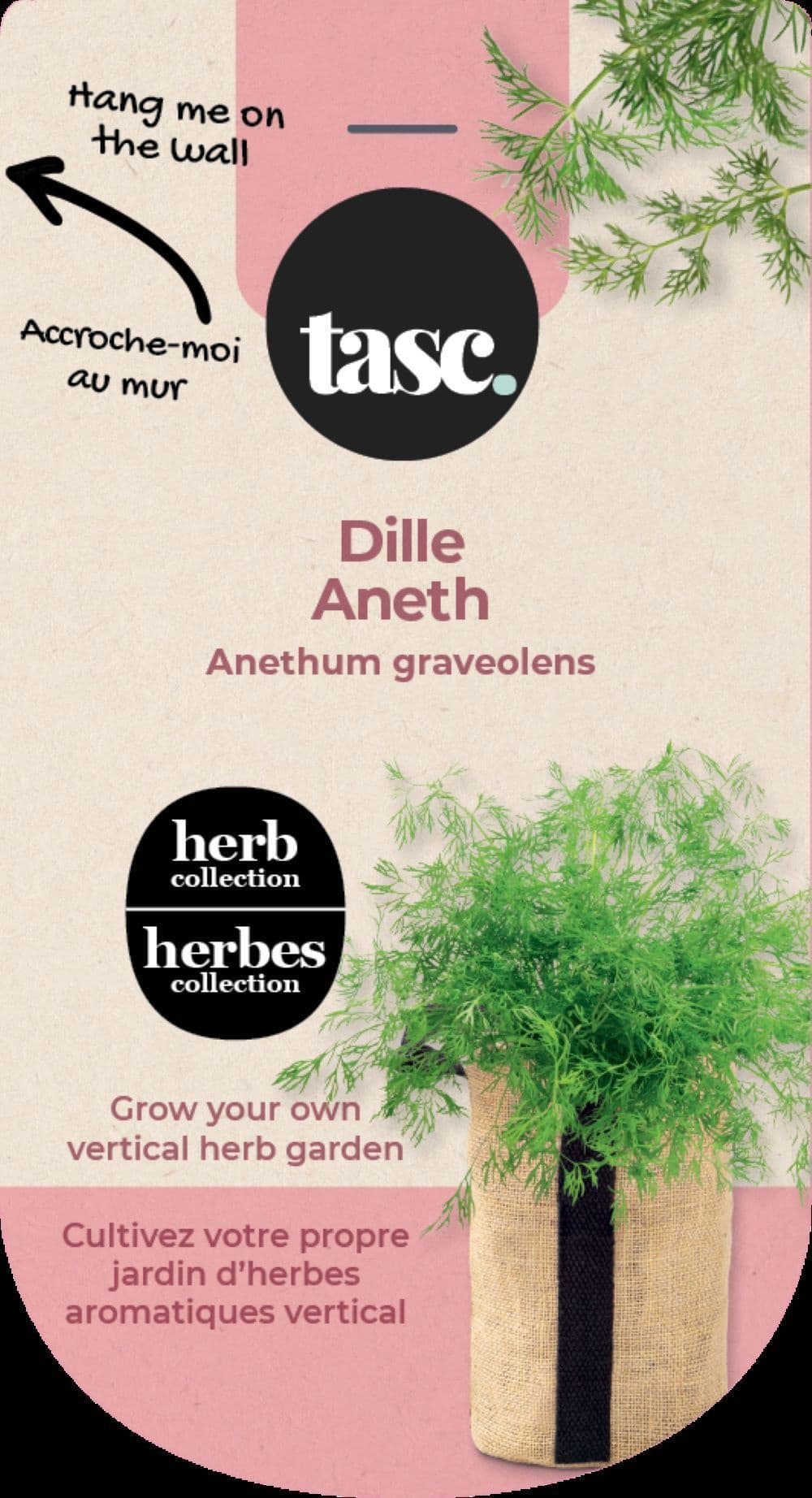 Tasc Bulbs Are Easy Wall Hanging Dill Plant Kit for Spring Blossoms