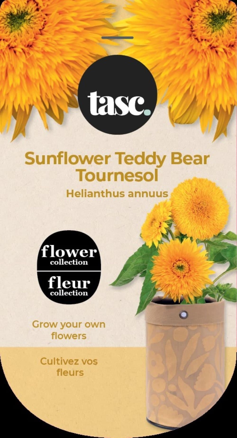 Tasc Bulbs Are Easy Sunflower Plant Kit for Spring Blossoms