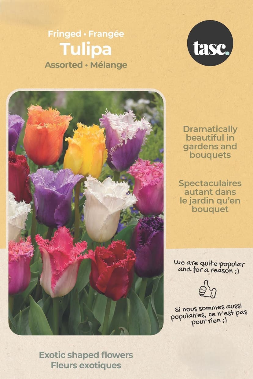 Bulbs are Easy Tulip Fringed Bulb, Assorted Colours