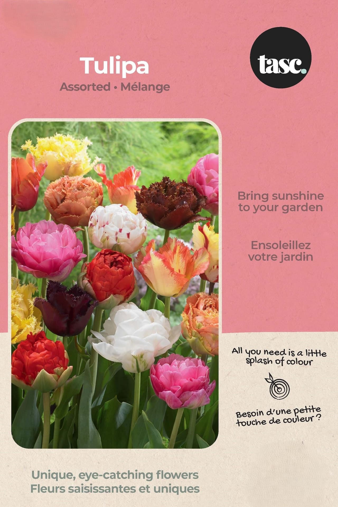 Bulbs are Easy Tulipa Double Early DIY Flower Bulb