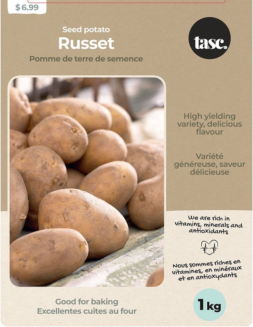 Bulbs Are Easy Potato Russet, High-Yielding Variety, 1-kg