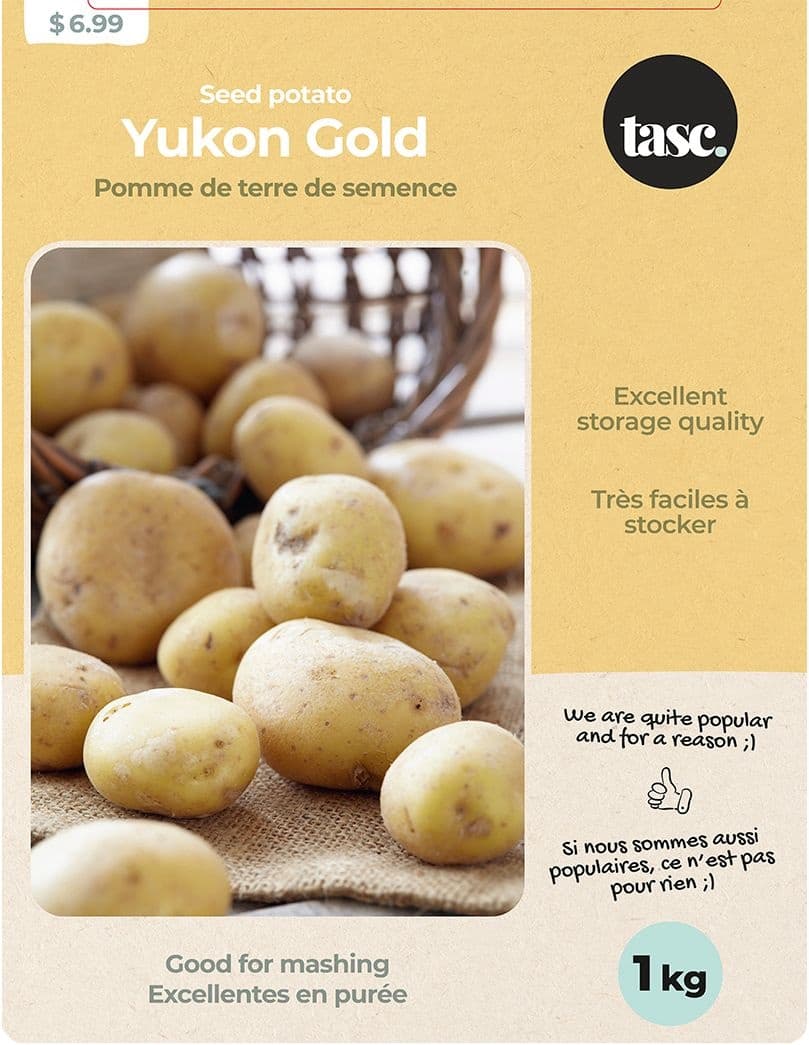 Bulbs Are Easy Potato Yukon Gold, High-Yielding Variety, 1-kg