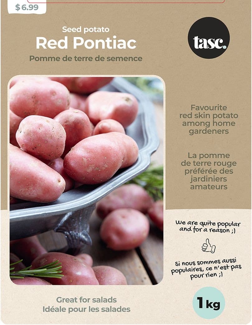Bulbs Are Easy Potato Red Pontiac, High-Yielding Variety, 1-kg