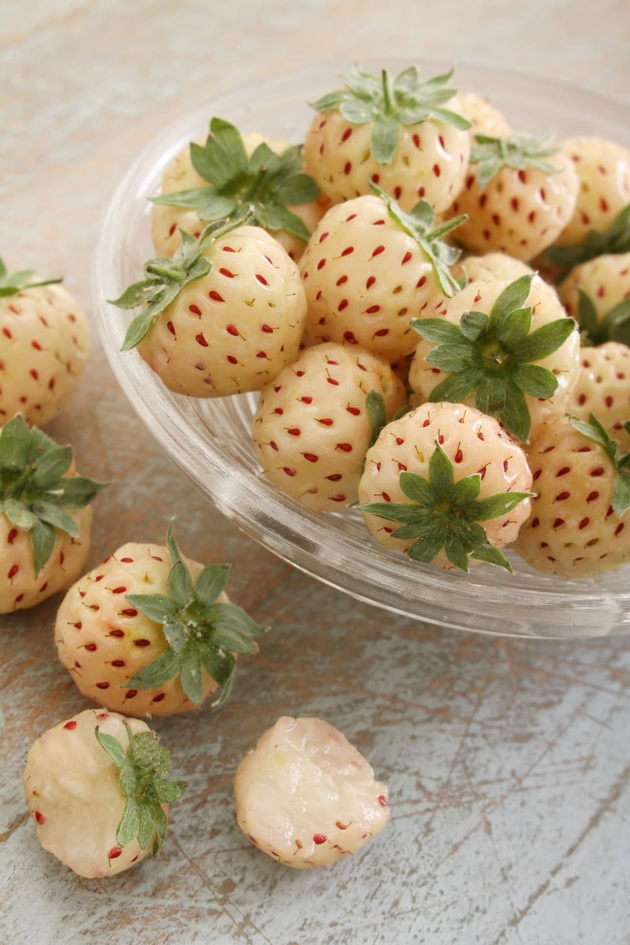 TASC White Carolina Strawberry Fruit Plant