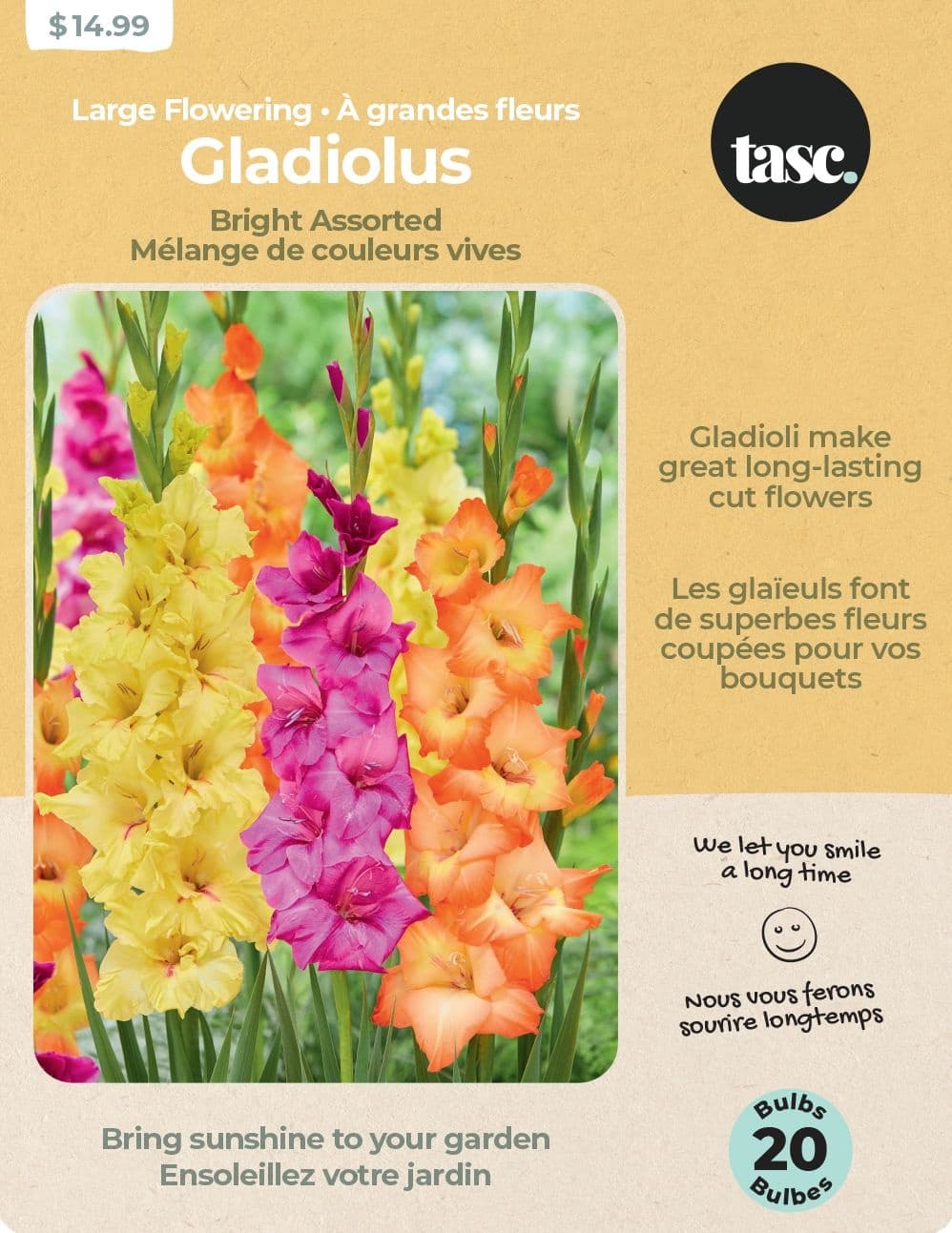 Bulbs Are Easy, Mixed Gladiolus Bright Home Garden Flowering Bulbs, Assorted Varieties