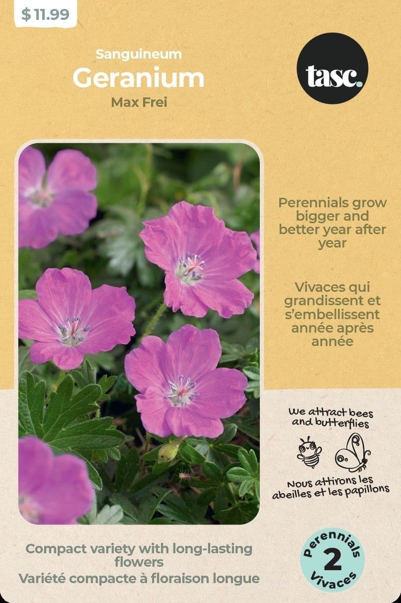 Bulbs are Easy, Mixed Spring Flower Bulbs, Ready to Plant for Your Home Garden