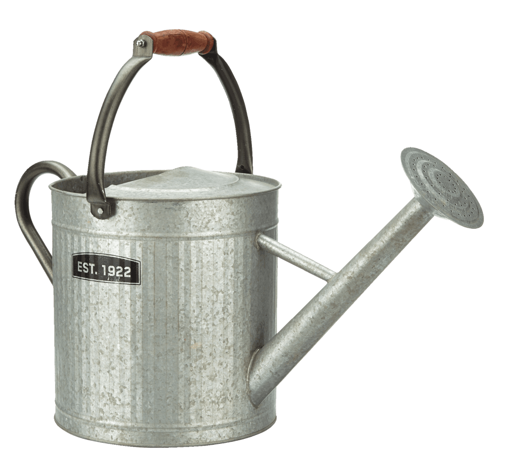Panacea Vintage Style Decorative Watering Can w/ Wooden Handle, 7.5-L, (1.8 US gal), Silver
