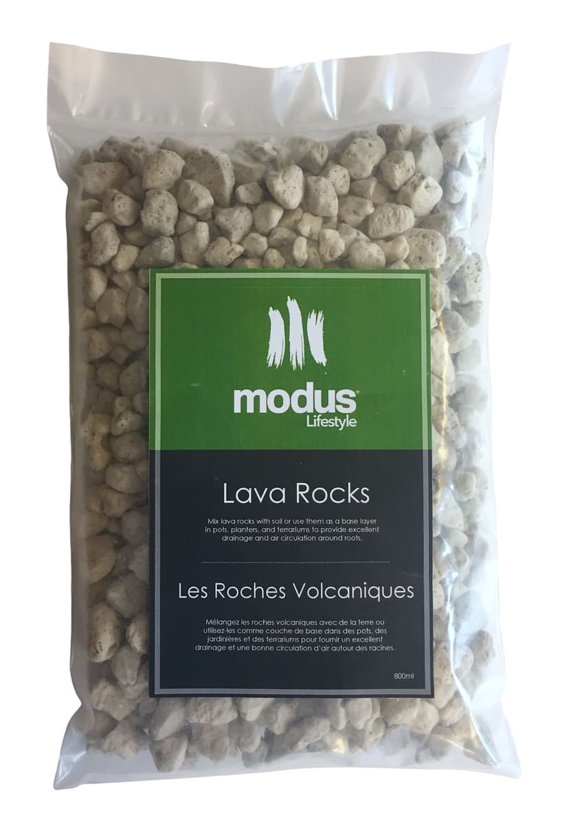 Modus Decorative Lava Hydro Stones, 800-mL