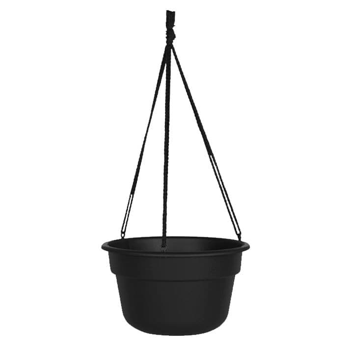 Bloem Dura Cotta Hanging Round Basket Planter, 12.5-in W x 6.75-in H x 12.5-in D, Assorted Colours