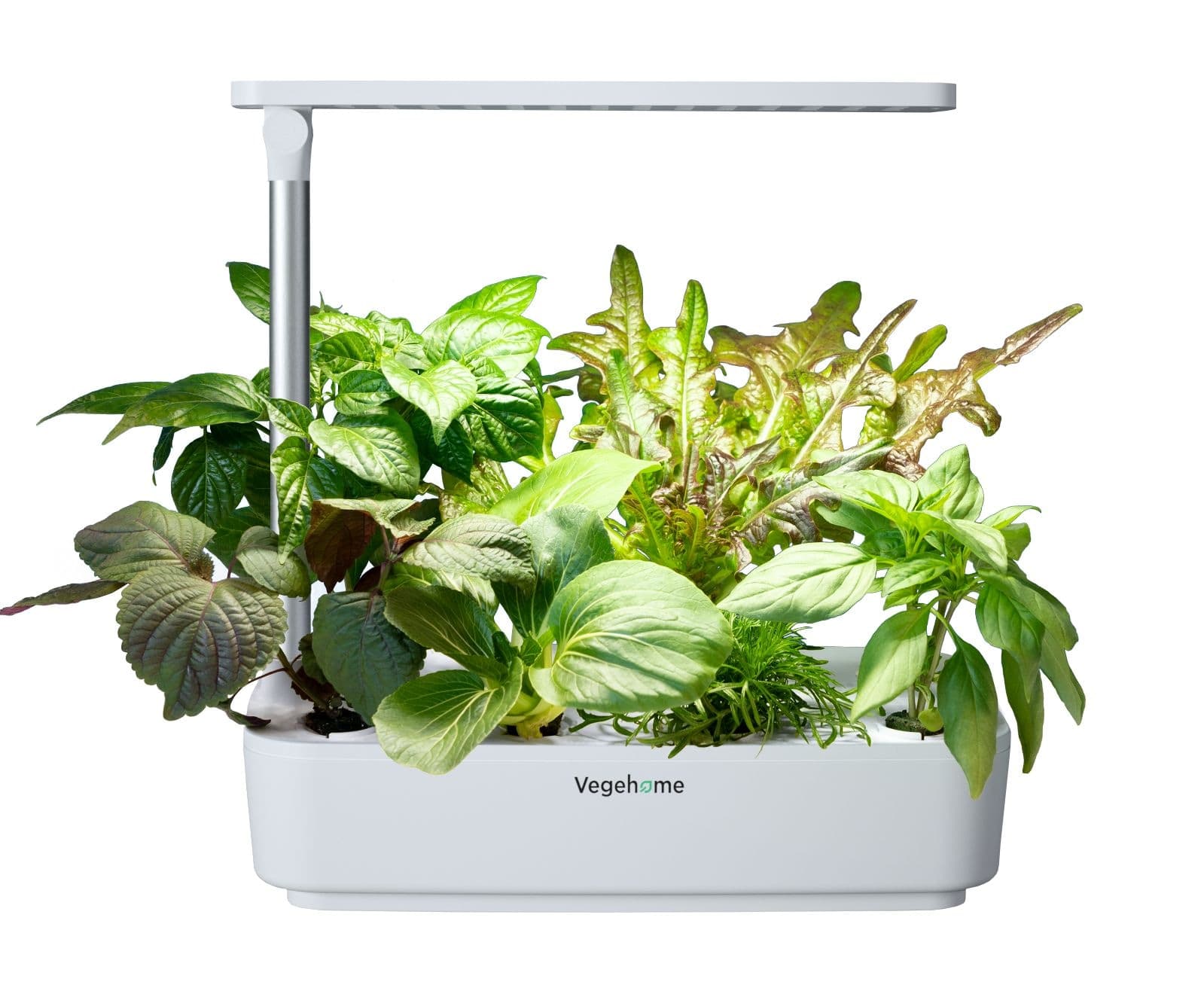 Jardin Lite 4-Pod Indoor/Hydroponic Vegehome Garden Starter Kit