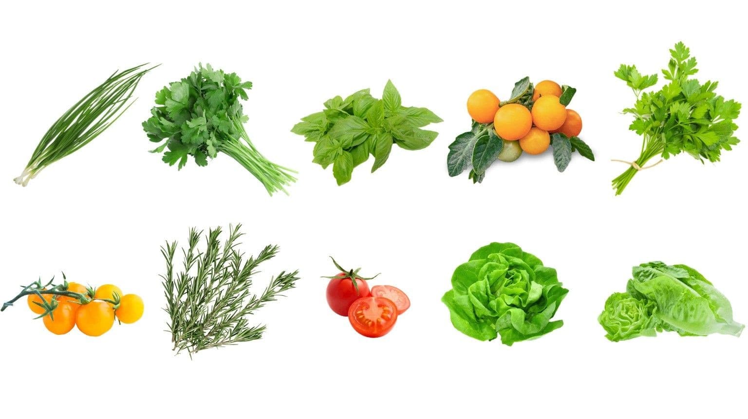 Jardin Best Sellers Indoor/Hydroponic Vegehome Pod Bundle, 20-pc