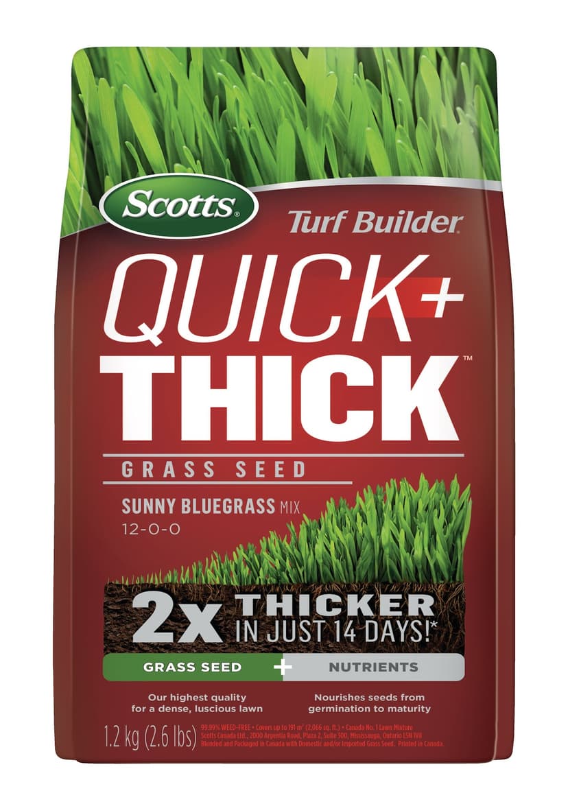 Scotts Turf Builder Quick + Thick™ Grass Seed Sunny Bluegrass Mix, 12-0-0, 1.2-kg