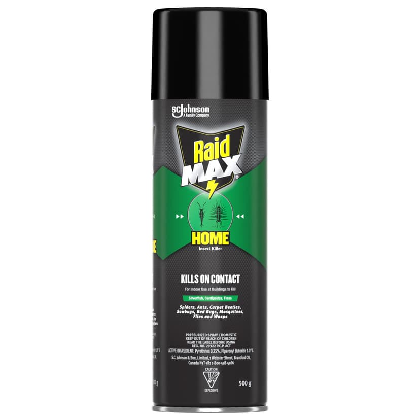 Raid MAX Indoor/Outdoor Home Insect Killer Spray, 500-g