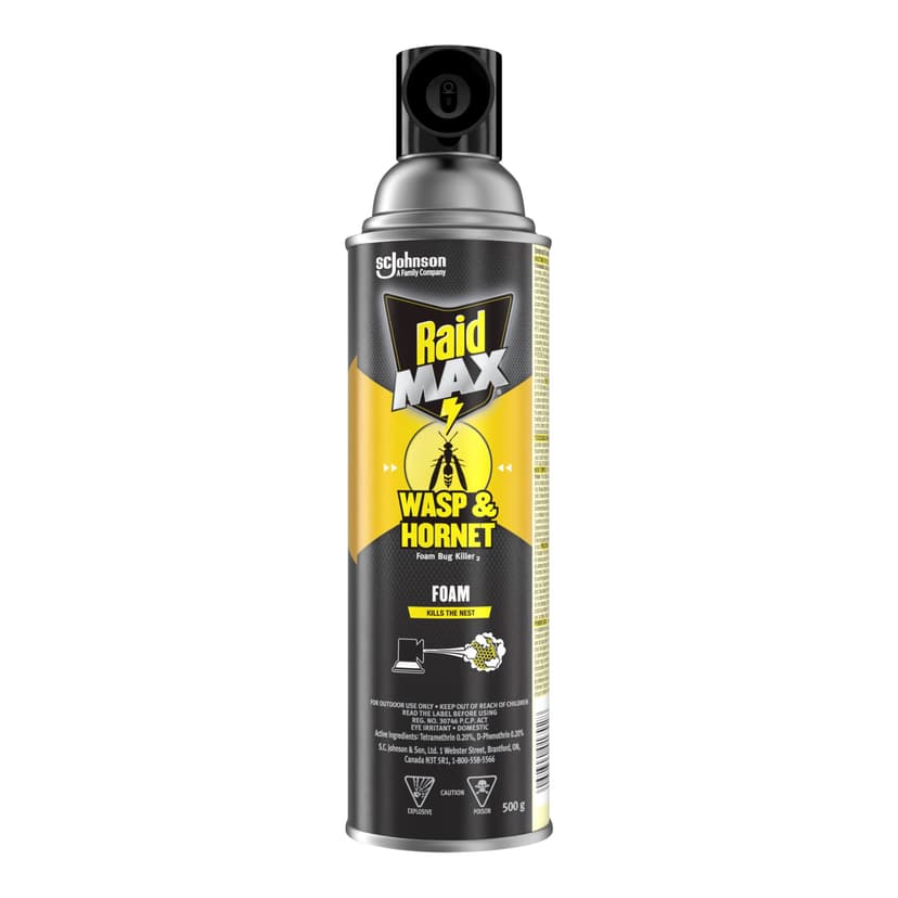 Raid MAX Foam Wasp & Hornet Insect Killer, Aerosol Spray, 500-g