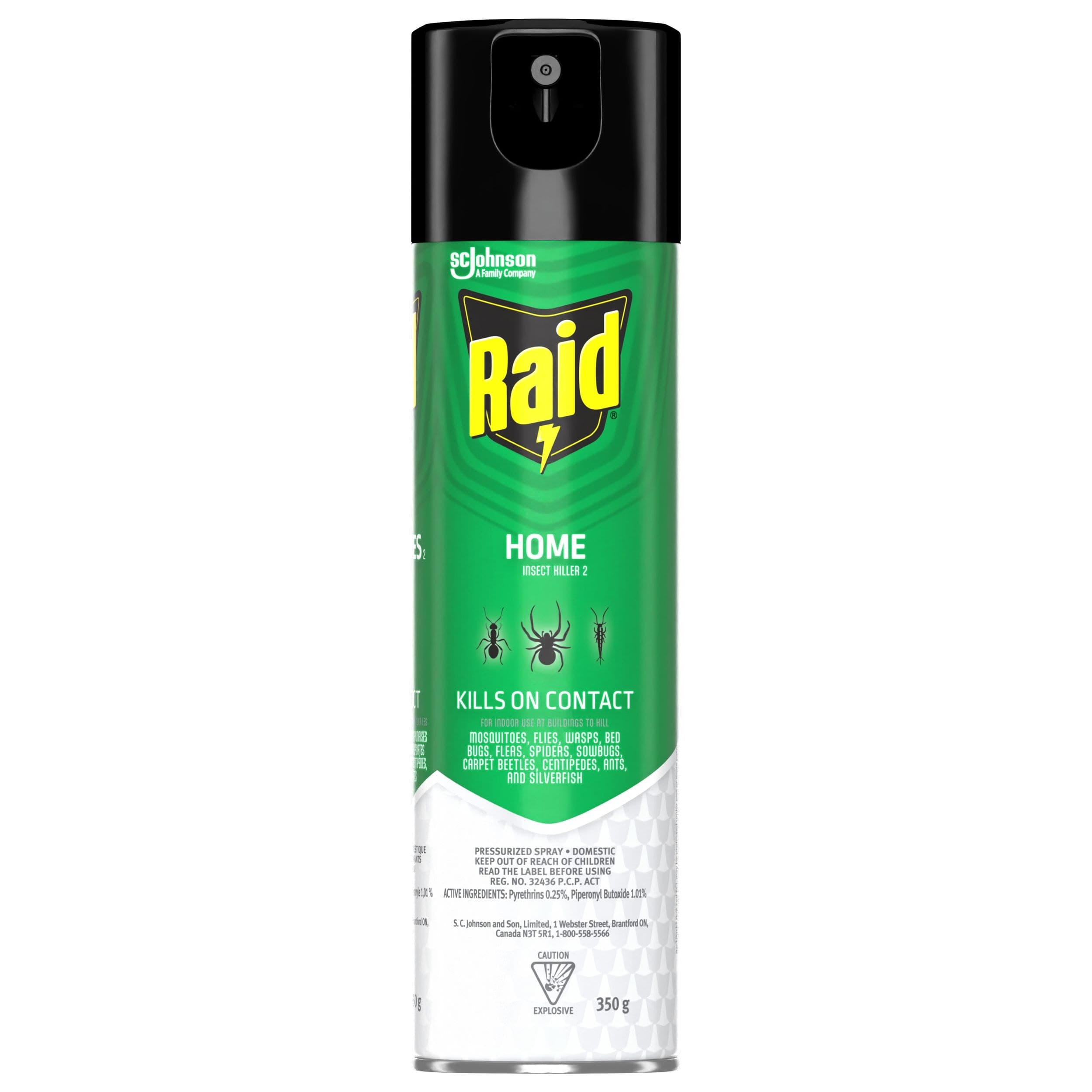 Raid Indoor/Outdoor Home Insect Killer Spray, 350-g