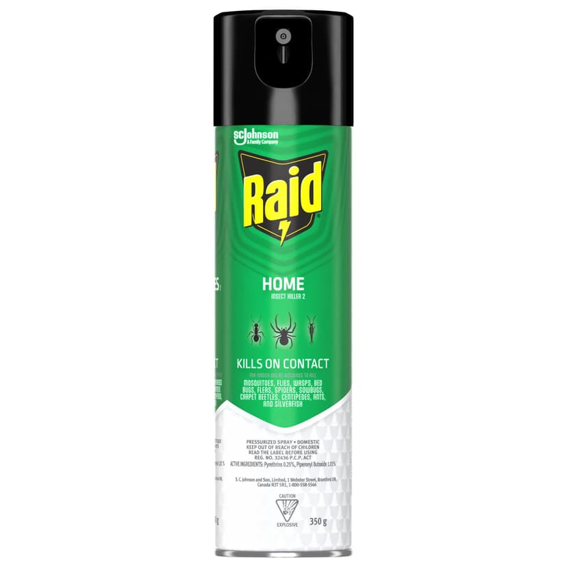 Raid Indoor/Outdoor Home Insect Killer Spray, 350-g