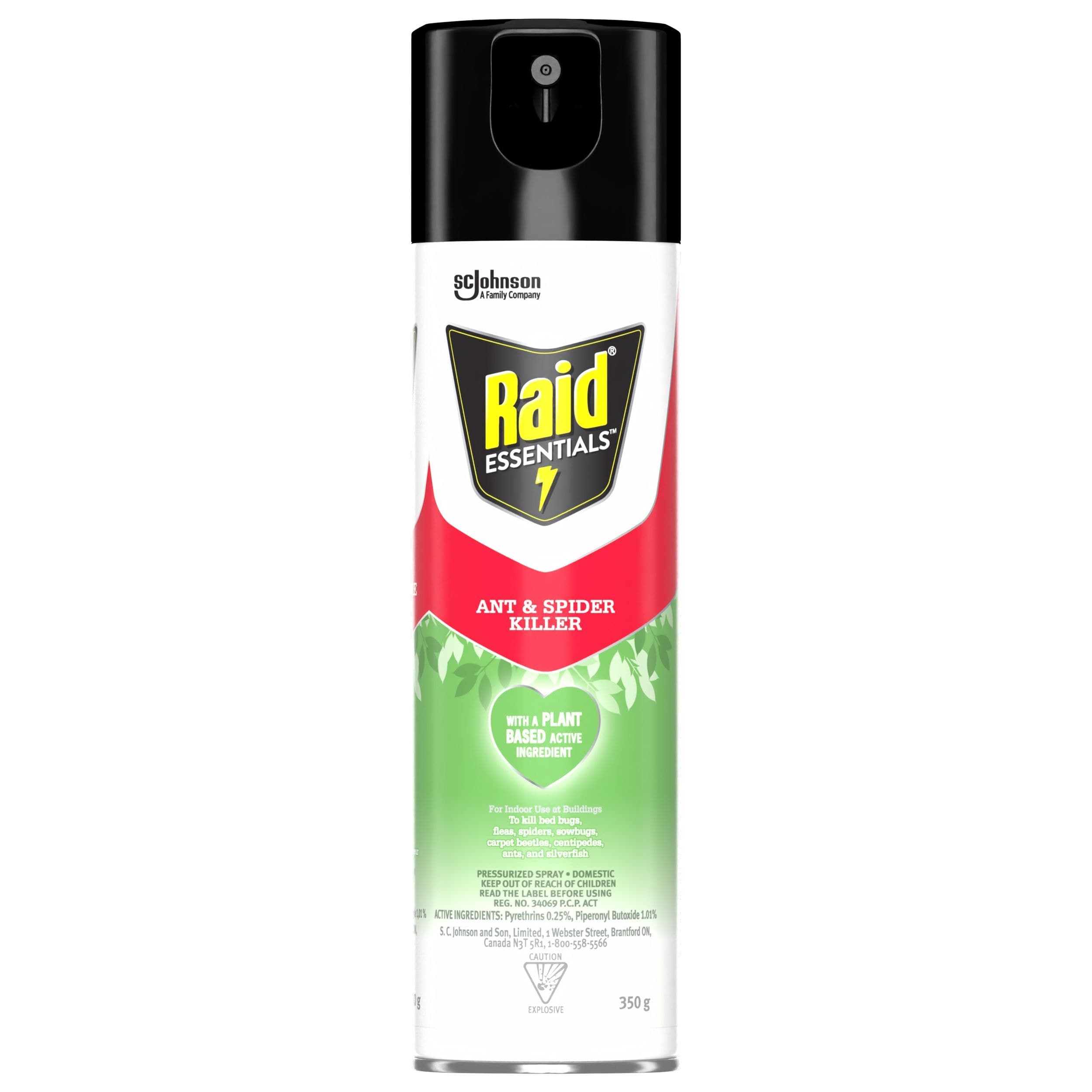 Raid Essentials Ant & Spider Killer Spray, 350-g