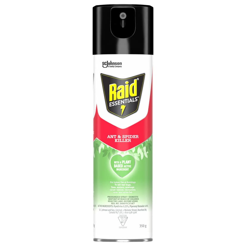 Raid Essentials Ant & Spider Killer Spray, 350-g