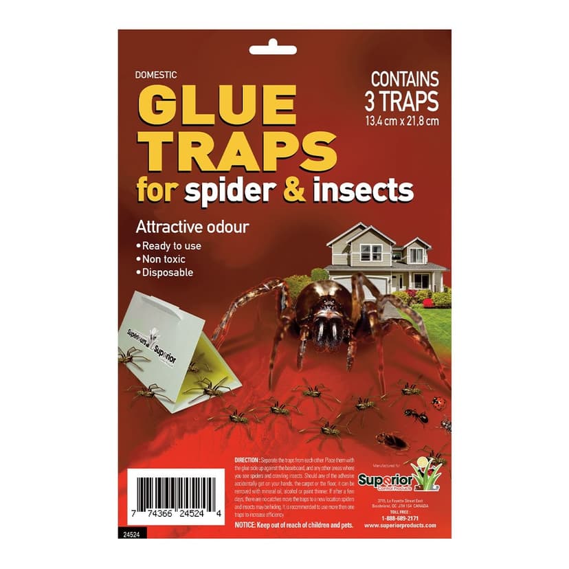 Superior Spider and Insect Glue Traps, Ready to Use, 3-pk