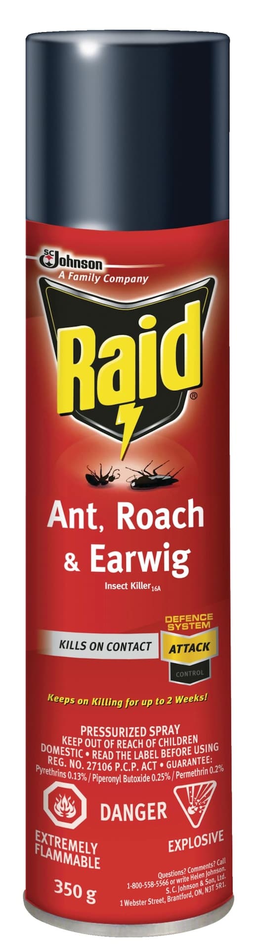 Raid MAX Indoor/Outdoor Ant, Roach, Earwig & Insect Killer, Insecticide Spray, 350-g