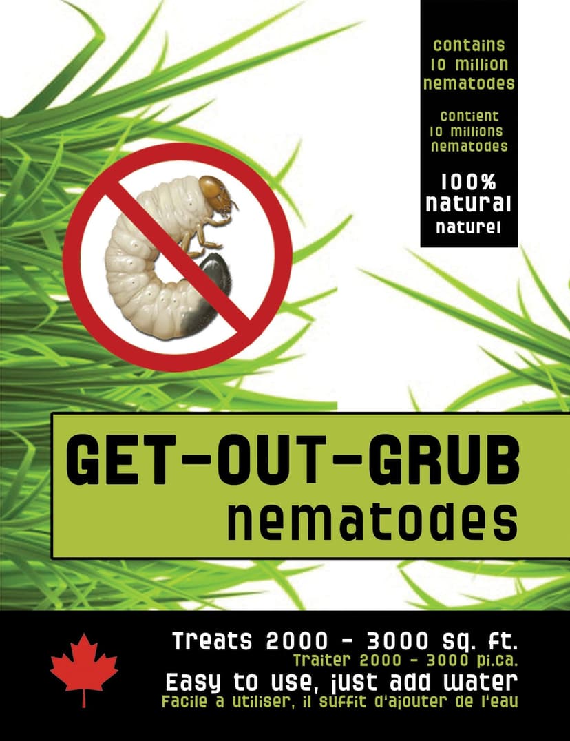 Natural Insect Control Lawn Beneficial Nematodes for Grubs