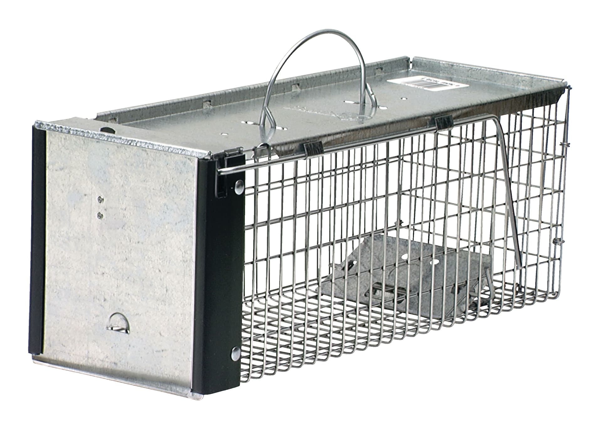 Havahart X-Small One-Door Live Animal Cage Trap for Chipmunks, Squirrels, Rats, Weasels