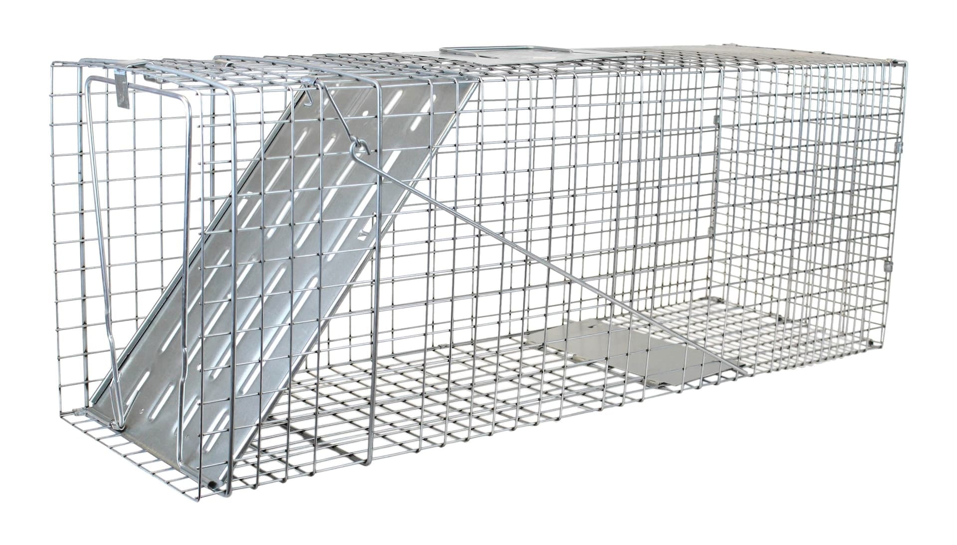 Havahart Raccoon Live Trap