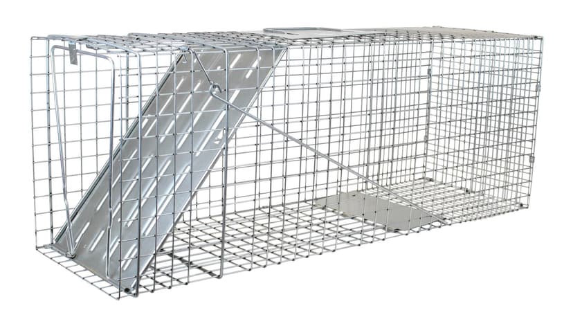 Havahart Raccoon Live Trap